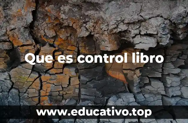 Que es control libro