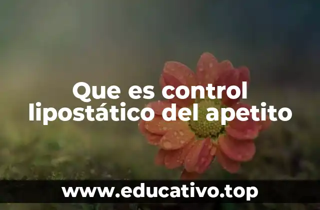 Que es control lipostático del apetito