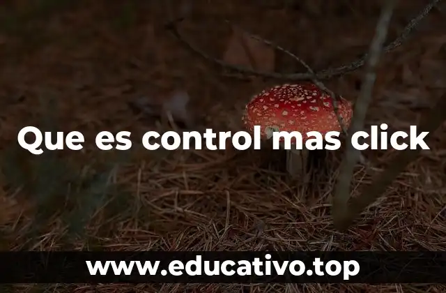Que es control mas click
