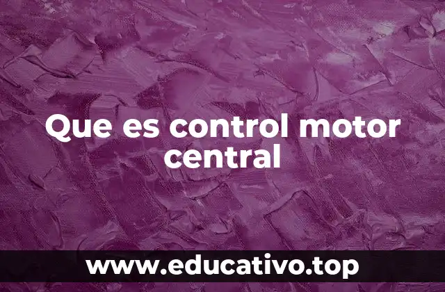 Que es control motor central