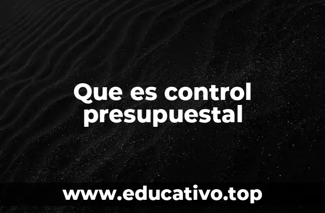 Que es control presupuestal