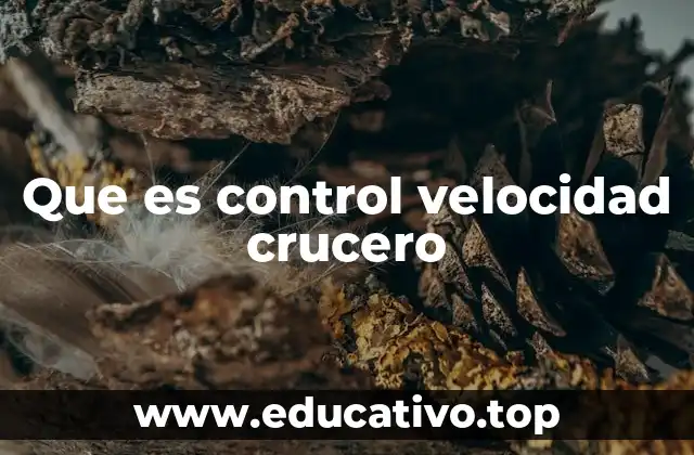 Que es control velocidad crucero