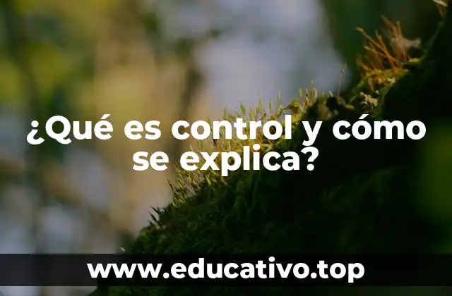 ¿Qué es control y cómo se explica?
