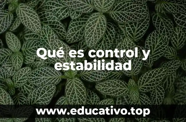 Qué es control y estabilidad