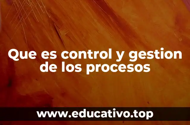 Que es control y gestion de los procesos