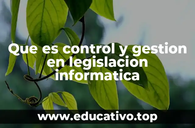 Que es control y gestion en legislacion informatica