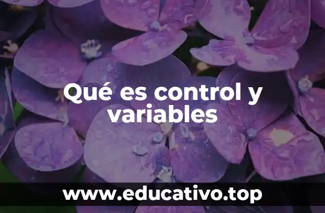 Qué es control y variables