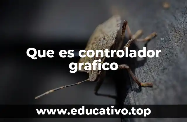 Que es controlador grafico