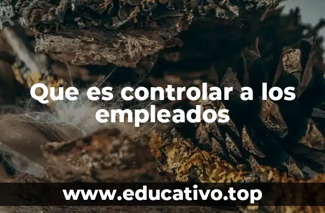 Que es controlar a los empleados