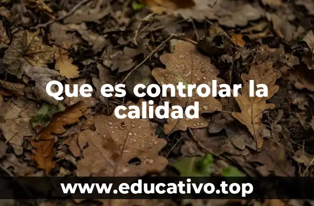Que es controlar la calidad