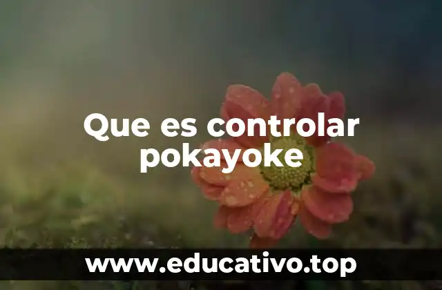 Que es controlar pokayoke