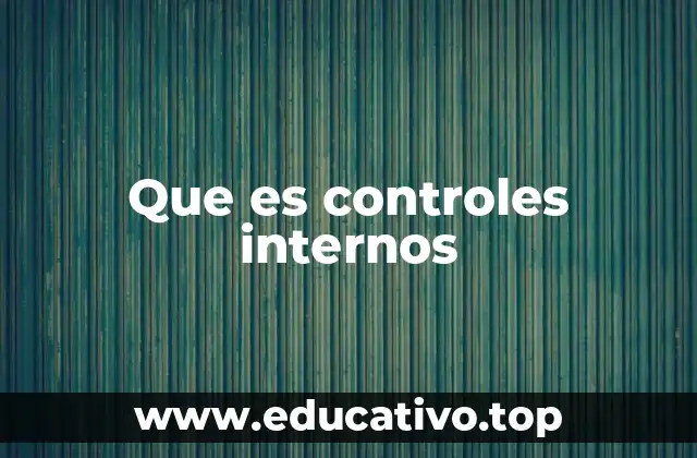 Que es controles internos
