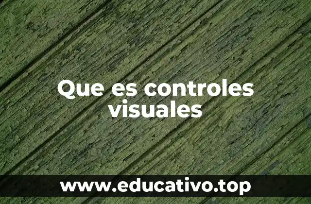 Que es controles visuales