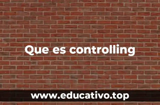 El rol del control interno en las organizaciones