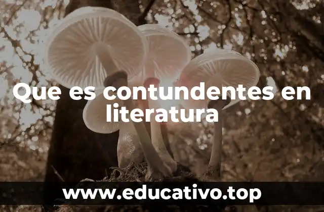 Que es contundentes en literatura