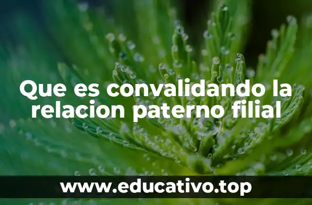 Que es convalidando la relacion paterno filial