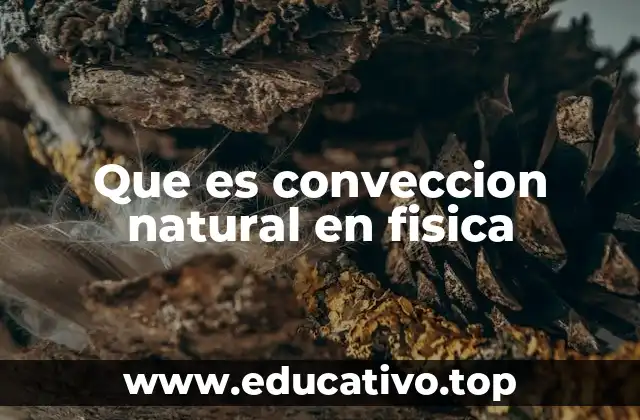 Que es conveccion natural en fisica