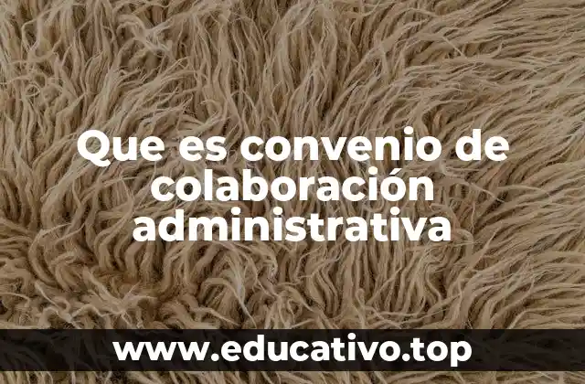 La importancia de la colaboración entre administraciones públicas