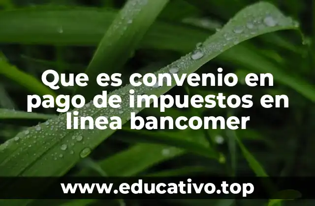 Que es convenio en pago de impuestos en linea bancomer