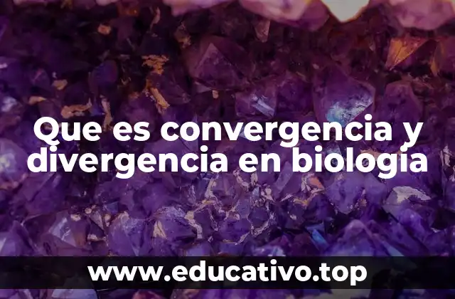 Diferencias entre adaptaciones paralelas y convergentes