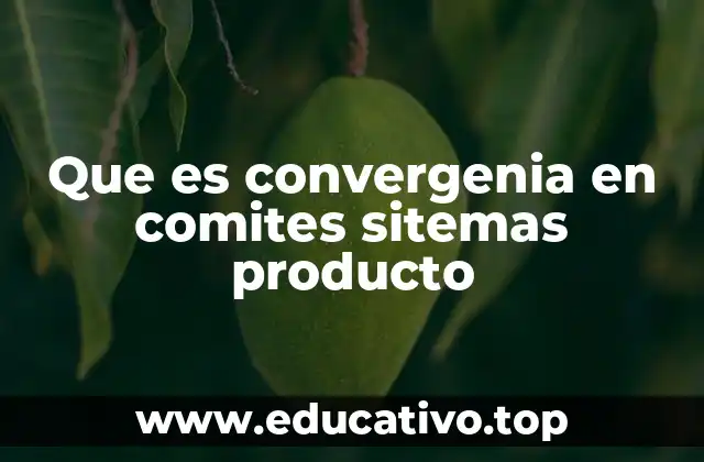Que es convergenia en comites sitemas producto