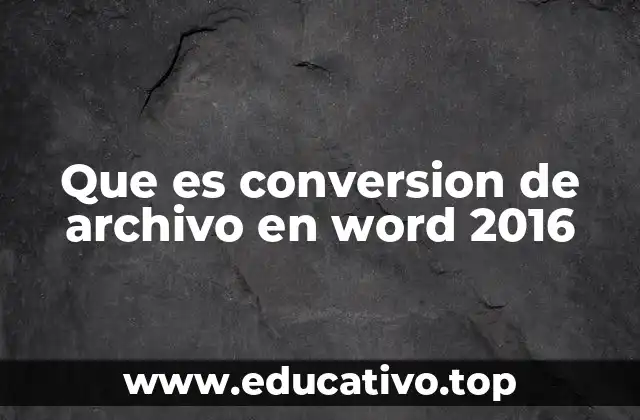 Que es conversion de archivo en word 2016