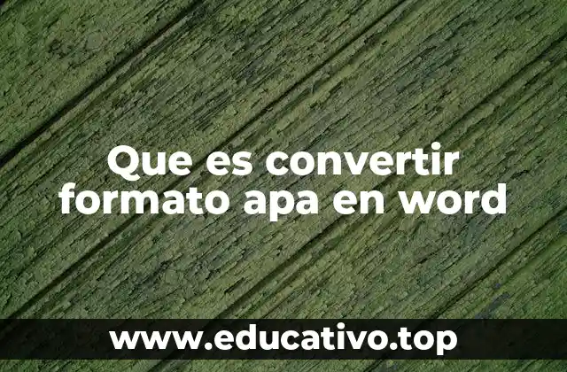 Que es convertir formato apa en word
