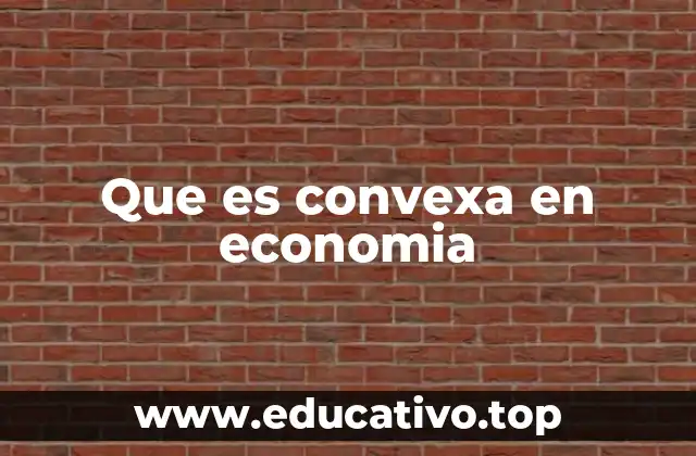 Que es convexa en economia