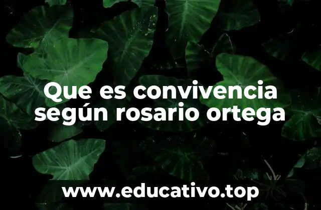 Que es convivencia según rosario ortega