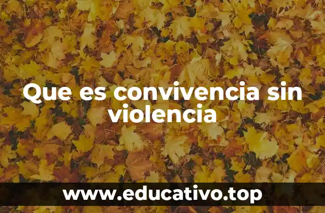 La importancia de la convivencia en entornos diversos