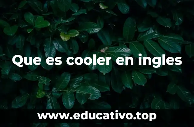 Que es cooler en ingles