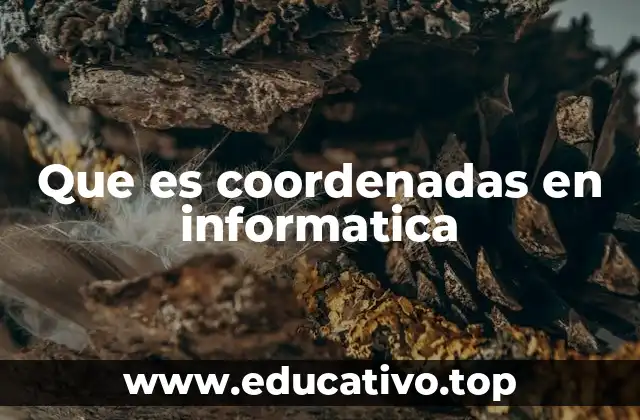 Que es coordenadas en informatica