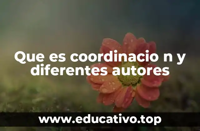 La coordinación en el contexto organizacional y social