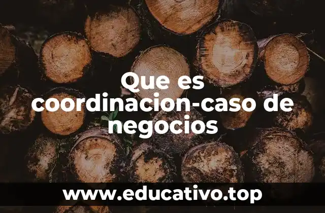 Que es coordinacion-caso de negocios