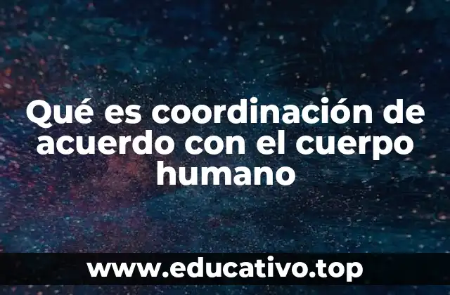 Qué es coordinación de acuerdo con el cuerpo humano