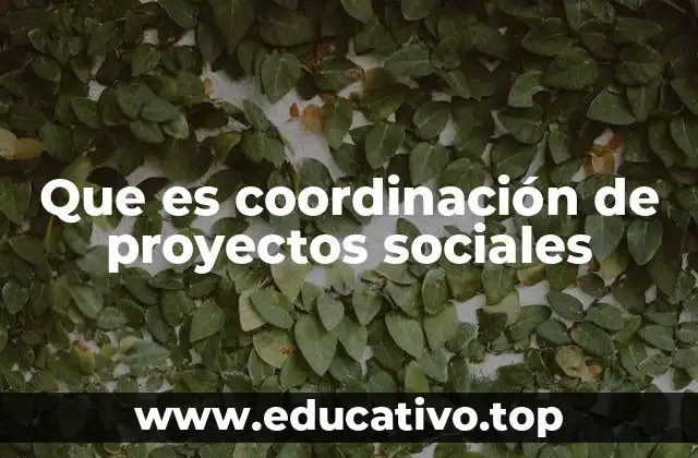 Que es coordinación de proyectos sociales