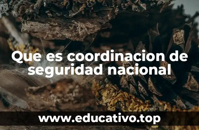 Que es coordinacion de seguridad nacional