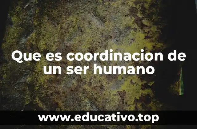 Que es coordinacion de un ser humano