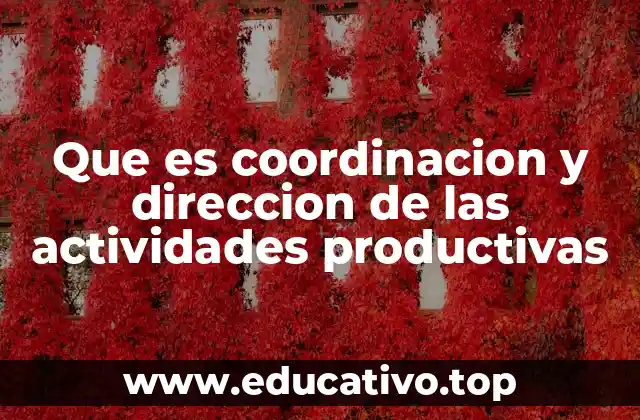 Que es coordinacion y direccion de las actividades productivas