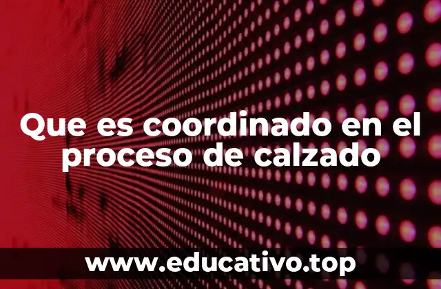 Que es coordinado en el proceso de calzado