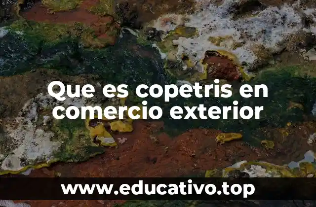 Que es copetris en comercio exterior