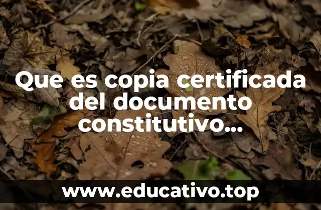 Que es copia certificada del documento constitutivo debidamente protocolizado