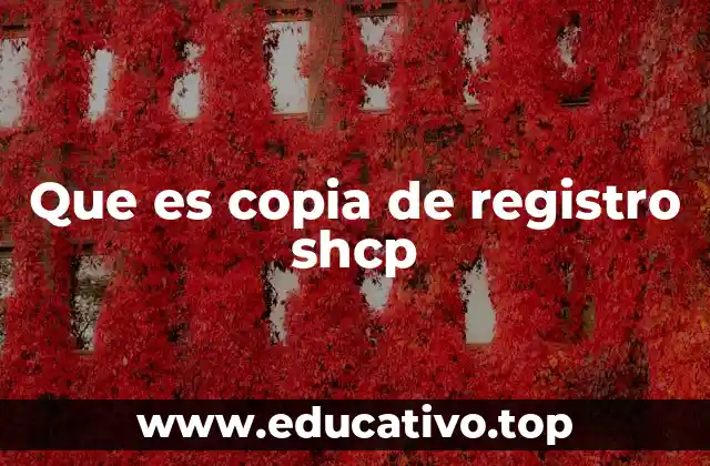 Que es copia de registro shcp