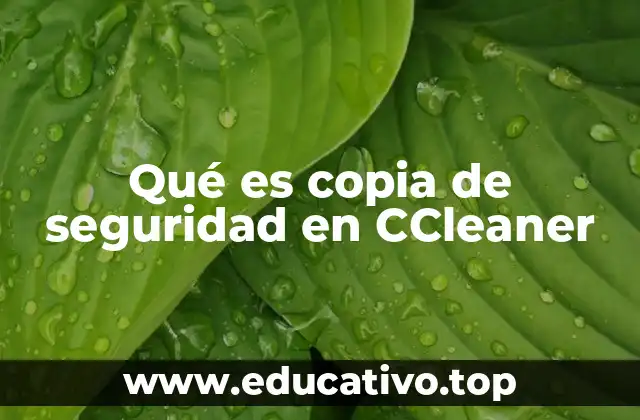 Qué es copia de seguridad en CCleaner