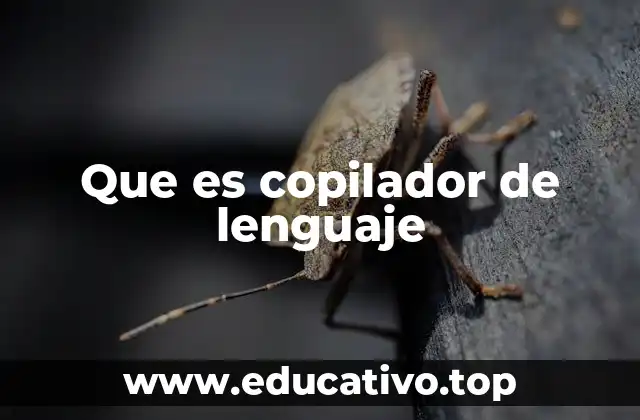 Que es copilador de lenguaje