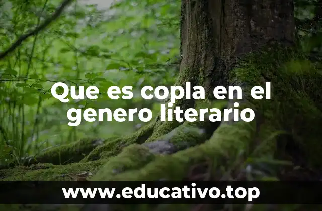 Que es copla en el genero literario