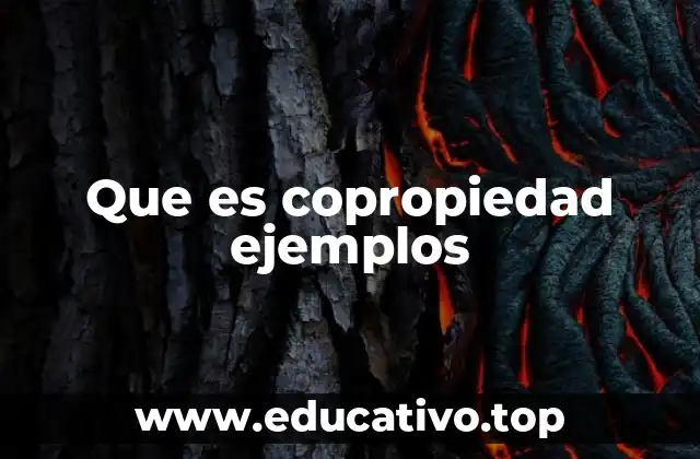 Que es copropiedad ejemplos