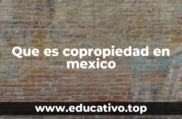 Que es copropiedad en mexico