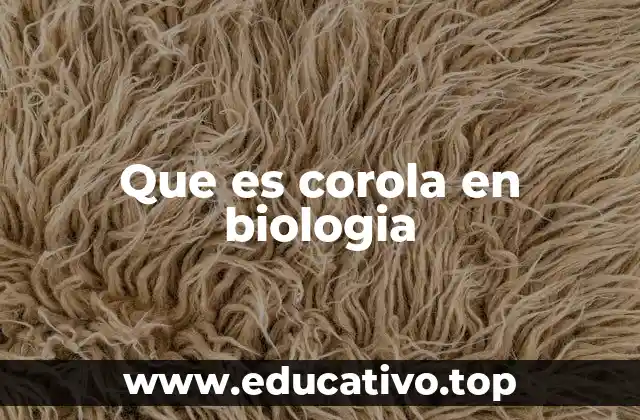 La estructura floral y la importancia de la corola