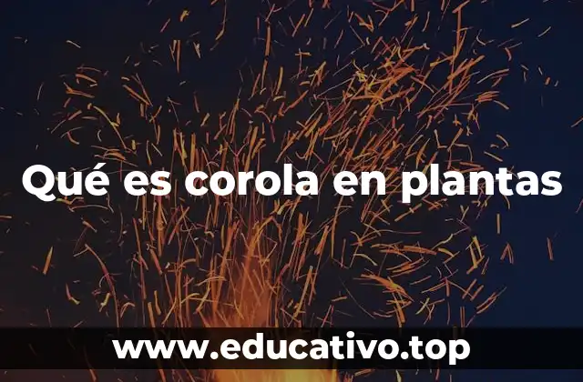 Qué es corola en plantas